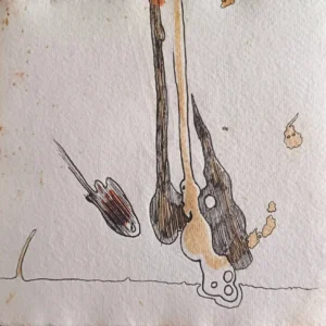 Estudio de Manchas y Vac&iacute;o - Vilipendios - Imagen del producto